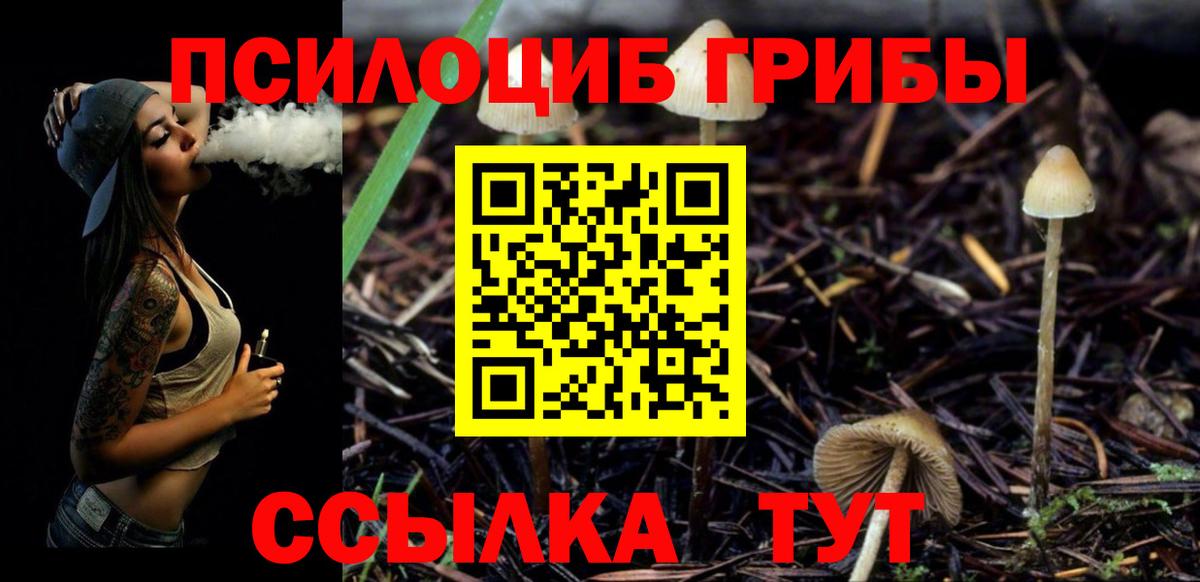 Псилоцибиновые грибы мухоморы Кунгур