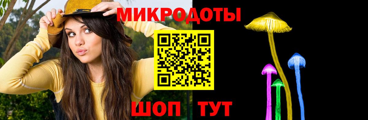 Кунгур  Псилоцибиновые грибы Cubensis  Вход с VPN 